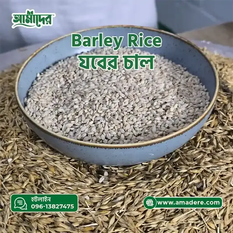 আমাদের যবের চাল ৫ কেজি | Barley Rice in Bangladesh 5 kg