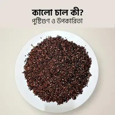 ব্ল্যাক রাইস (কালো চাল) কী? উপকারিতা, পুষ্টিগুণ ও খাওয়ার সঠিক নিয়ম।