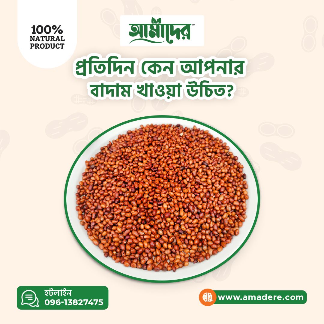 প্রতিদিন কেন আপনার বাদাম খাওয়া উচিত? বাদাম খাওয়ার স্বাস্থ্য উপকারিতা কি? Why should you eat penuts every day? What are the health benefits of eating